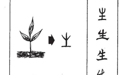 土豆片油炸的做法大全-土豆片油炸吃法和做法大全-专业土豆片的做法油炸土豆片的做法平台-土豆片油炸的正确方法